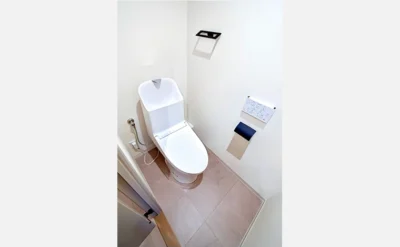 メロディーハイム大手前ヒルズコート 501号室のトイレ