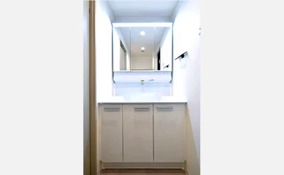 メロディーハイム大手前ヒルズコート 501号室の洗面台