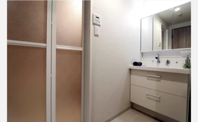 ダイアパレス順慶町 洗面所1