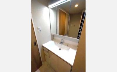 ハイム北野 洗面所1