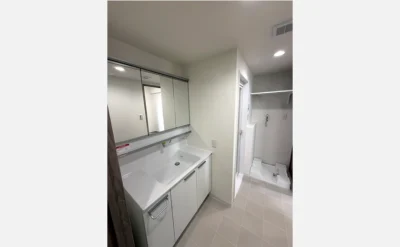 クレアガーデン守口ラヴィス 洗面所1