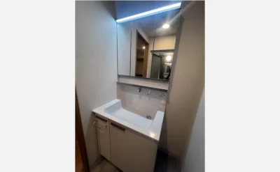 シャルマンフジビルトモアー今里 洗面所1