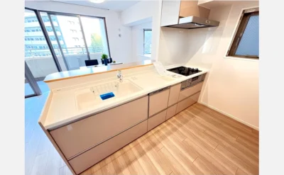 ルネグランディルＡ棟 431号室のキッチン1