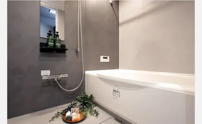 メロディーハイム牧野公園弐番館 107号室のバスルーム1