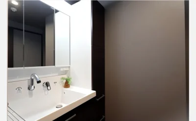 メロディーハイム牧野公園弐番館 107号室の洗面所1