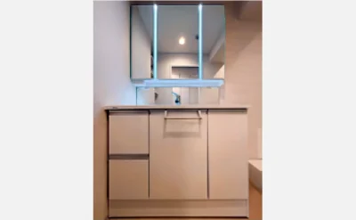 大淀町スワローハイツ 405号室の洗面所1