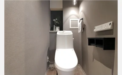 クレール八戸ノ里ソレイユ 1203号室のトイレ1