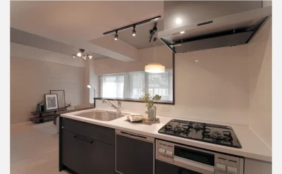 メゾンハリマックス楠葉 102号室のキッチン1