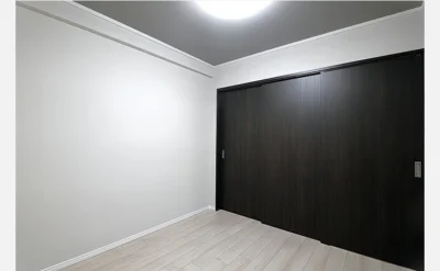 メゾンハリマックス楠葉 102号室の洋室1