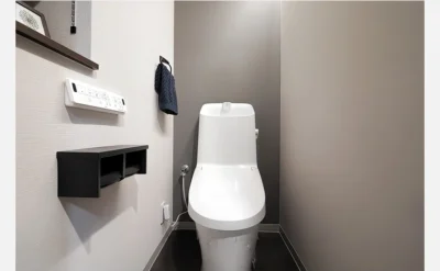 メゾンハリマックス楠葉 102号室のトイレ1