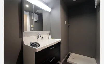 メゾンハリマックス楠葉 102号室の洗面所1