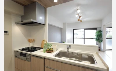 ライフコートフドウ育和公園ハイツ 206号室のキッチン1