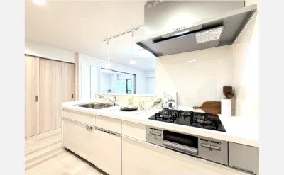 南茨木駅前ハイタウンＫ棟 1102号室のキッチン1