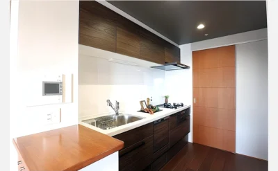 リバーガーデン東大阪新庁舎アヴェニュー 1108号室のキッチン1