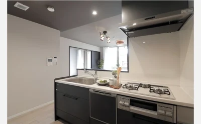 ルネヒューマンズガーデン鶴見 208号室のキッチン1