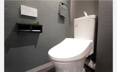 ルネヒューマンズガーデン鶴見 208号室のトイレ1