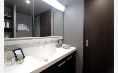 ルネヒューマンズガーデン鶴見 208号室の洗面所1