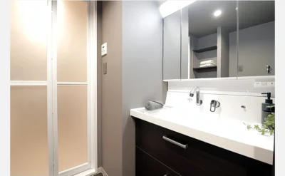 ファミール深江橋デュオ 801号室の洗面所1