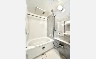 クロスティ八尾南壱番館 203号室のバスルーム1