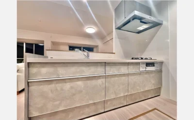 クロスティ八尾南壱番館 203号室のキッチン1