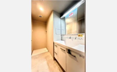 クロスティ八尾南壱番館 203号室の洗面所1